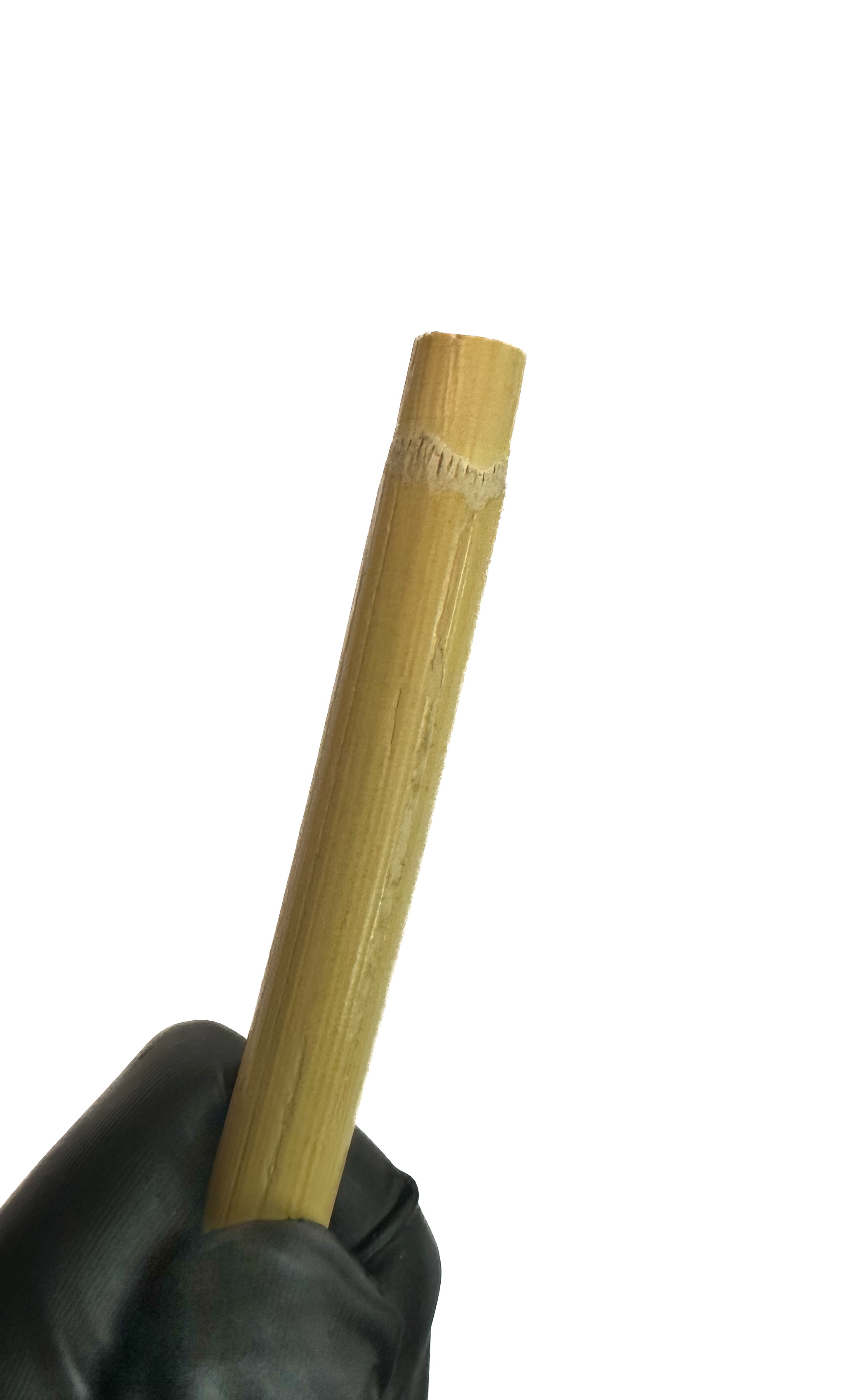 Cane unbehandelt, ungeschält, ca. 10 mm dick, Länge ca. 70 cm
