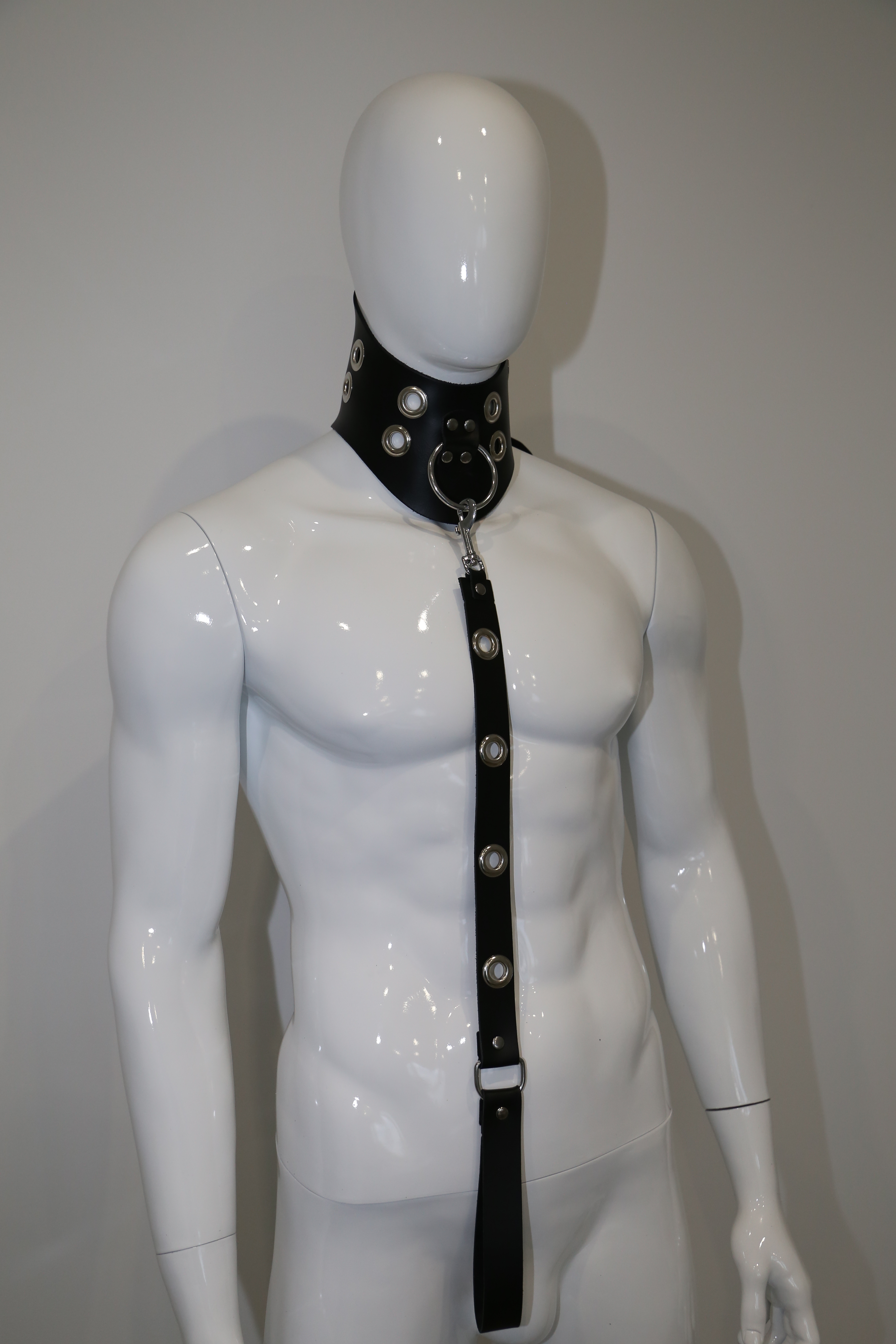 Halsfessel und Leine